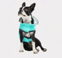 ACCESORIO PERRO - GF PET - IMPERMEABLE REVERSIBLE NEON AQUA2