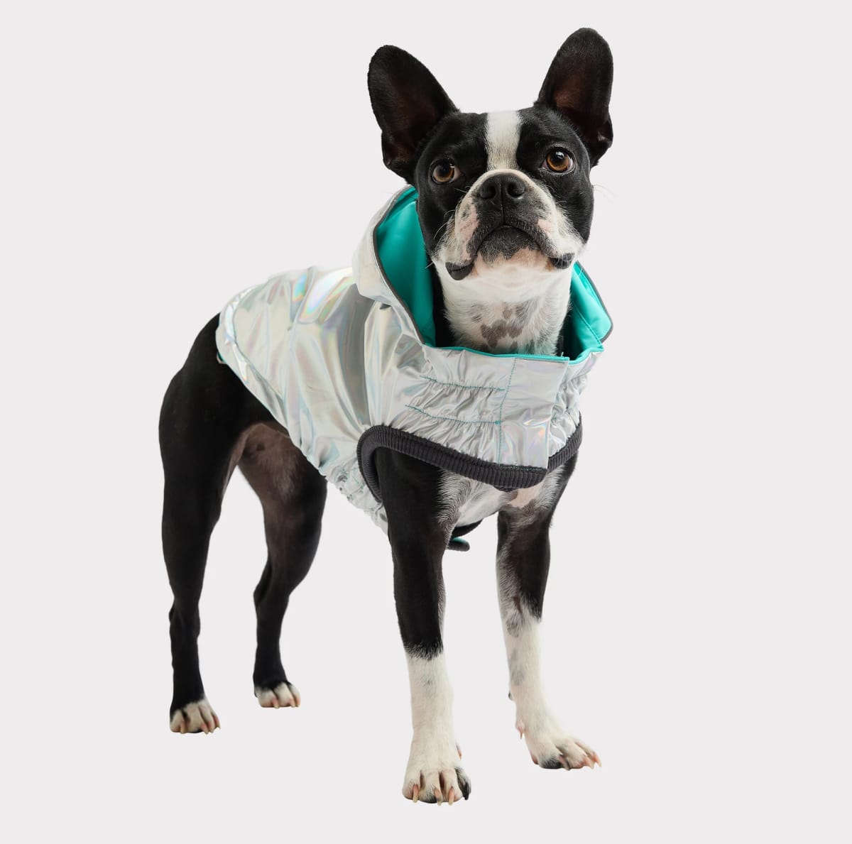 ACCESORIO PERRO - GF PET - IMPERMEABLE REVERSIBLE NEON AQUA3