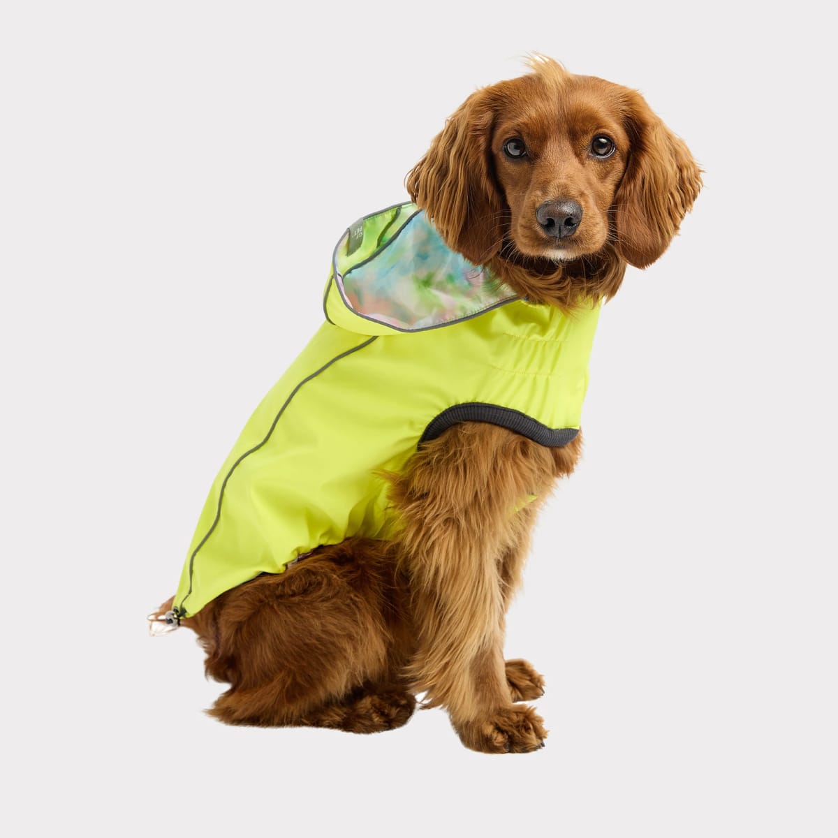 ACCESORIO PERRO - GF PET - IMPERMEABLE REVERSIBLE NEON YELLOW1
