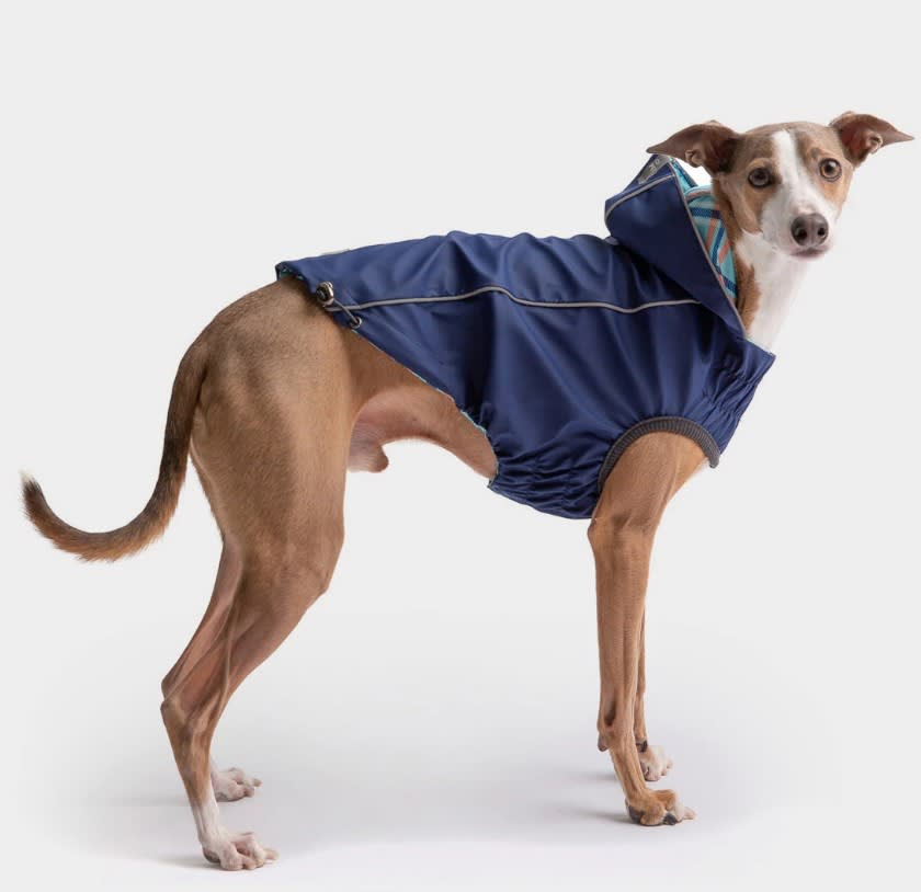 ACCESORIO PERRO - GF PET - CAPA IMPERMEABLE REVERSIBLE AZUL2