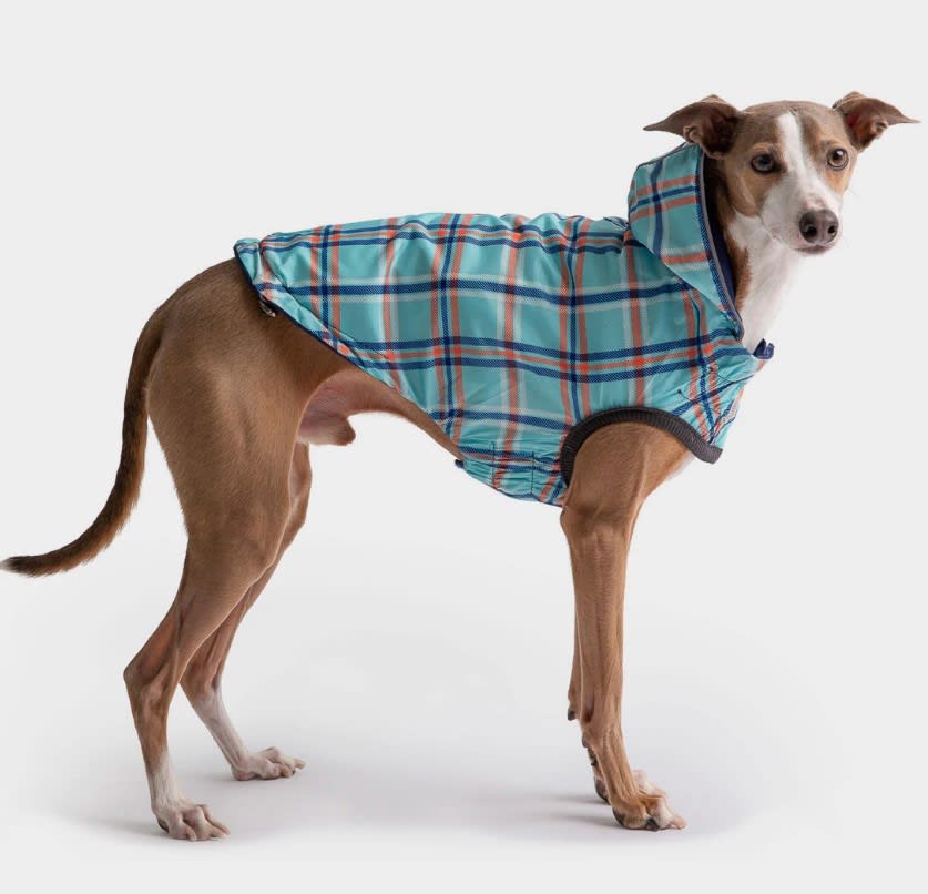 ACCESORIO PERRO - GF PET - CAPA IMPERMEABLE REVERSIBLE AZUL3