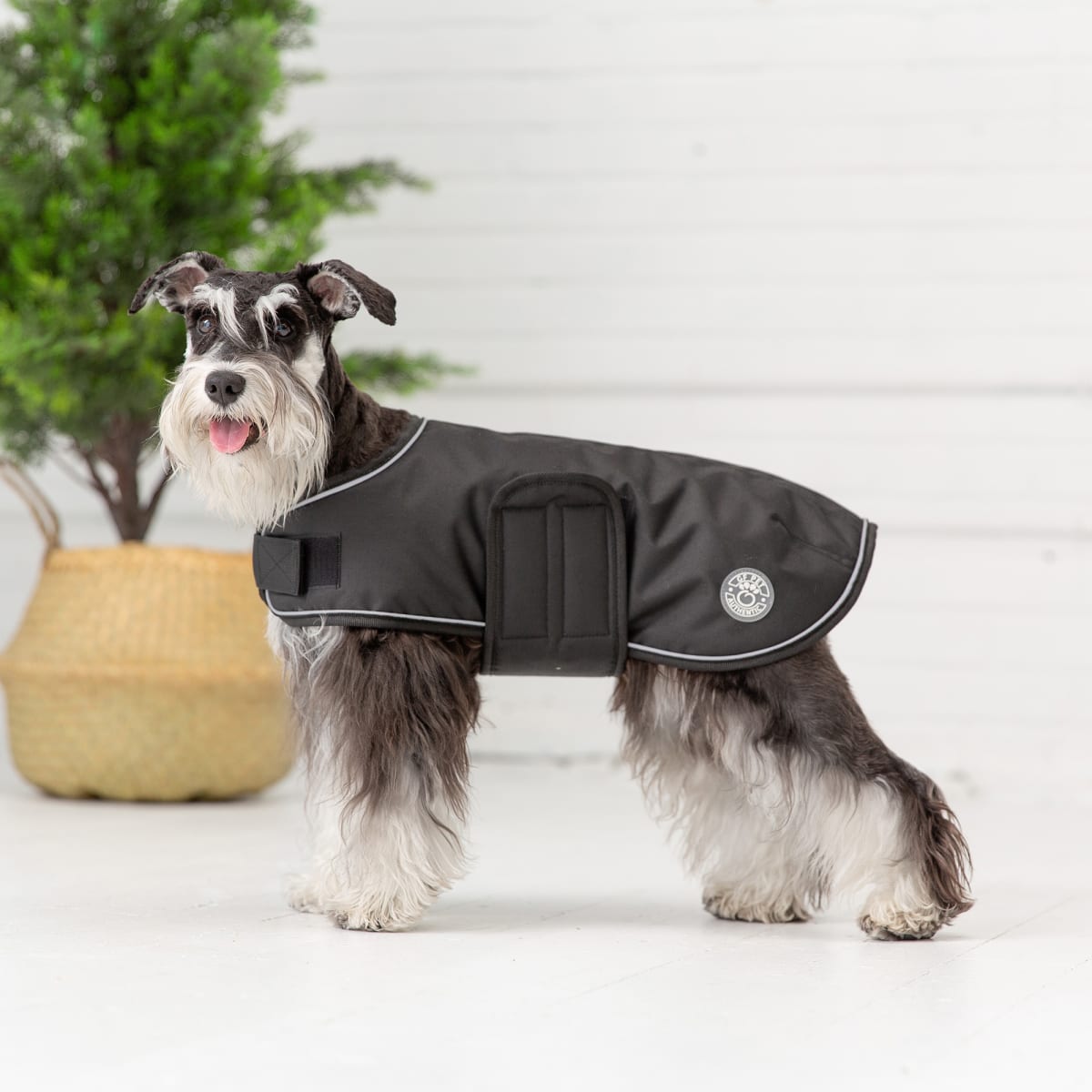 ACCESORIO PERRO - GF PET - CAPA IMPERMEABLE NEGRA4