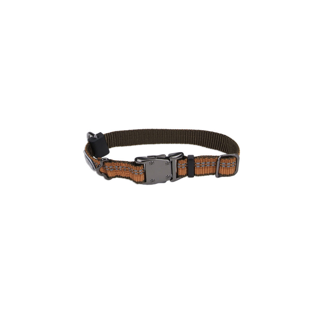 COLLAR PERRO - COASTAL - K9 EXPLORER NARANJA 2