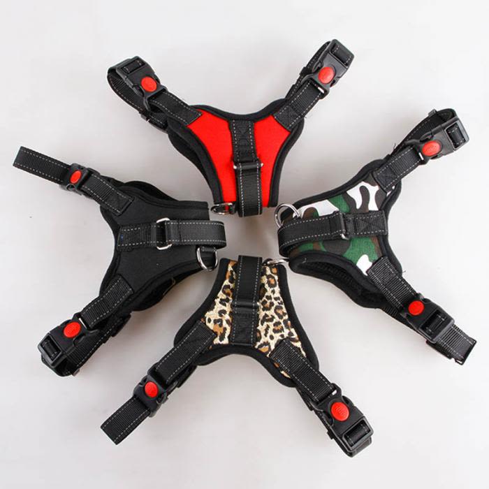 ARNES - PERRO - PECHERA CON CARGADOR - LARGE5