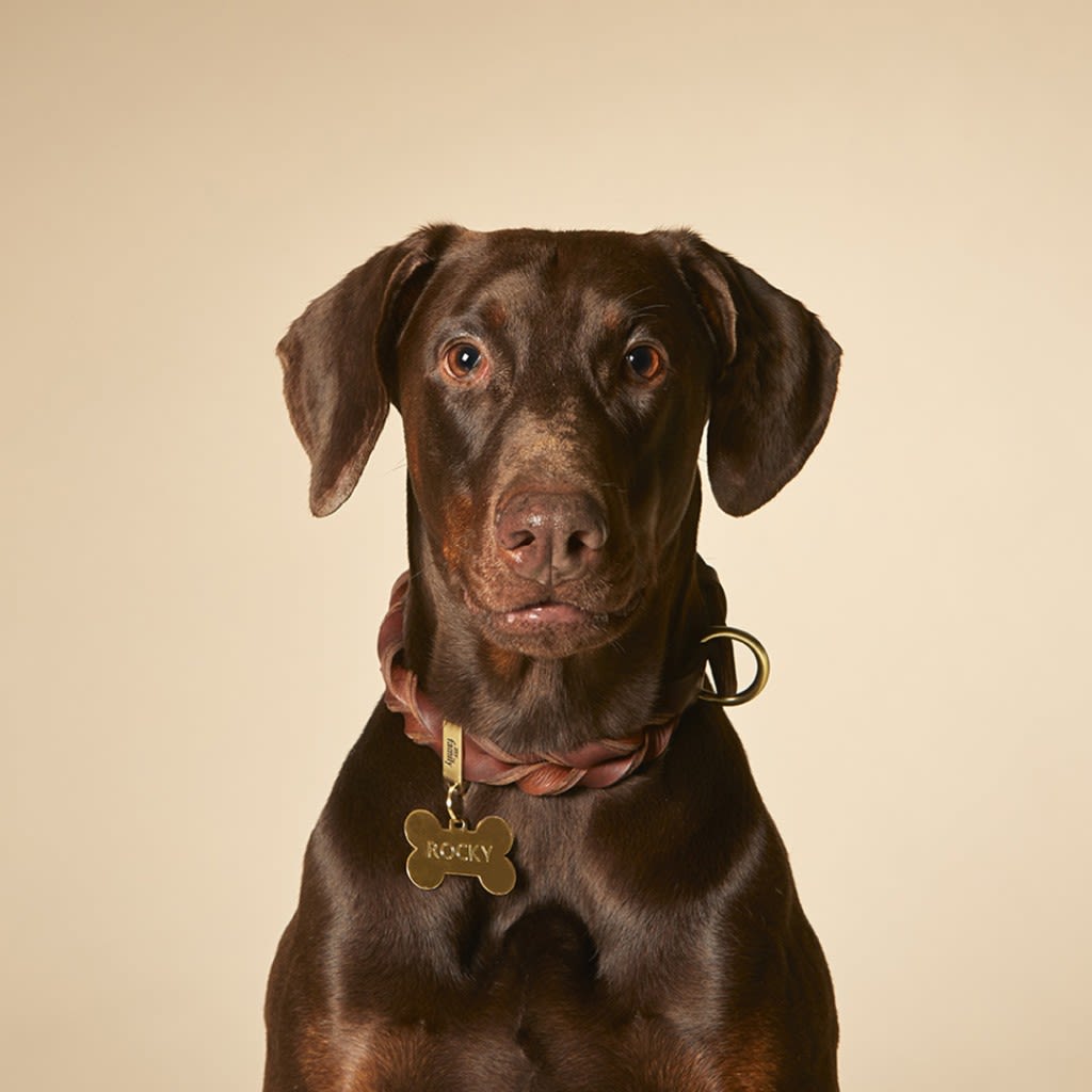 PLACA MASCOTA - MY FAMILY - BASIC GOLDEN BRASS BONE2