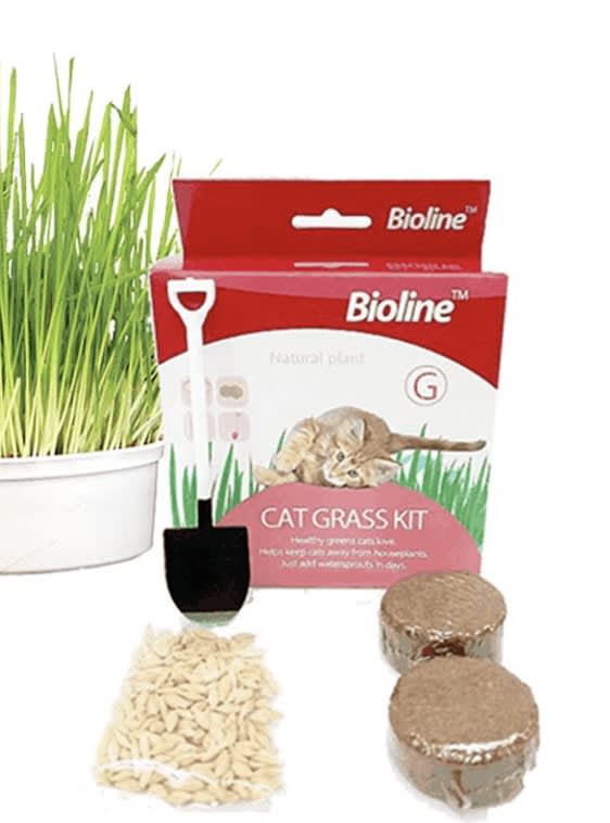 MARBEN PETS - KIT PASTO PARA GATOS3