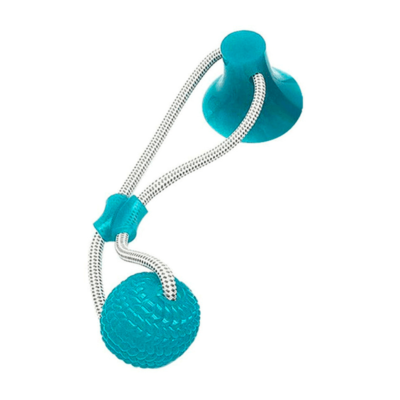 JUGUETE MASCOTA CON VENTOSA2