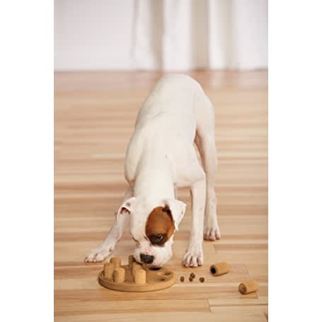 JUGUETE PERRO - NINA OTTONSSON - DOG SMART 1