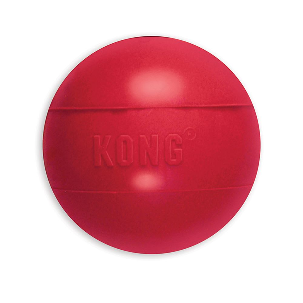 JUGUETE MASCOTA - KONG - BALL3