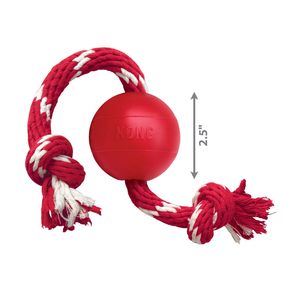 JUGUETE MASCOTA - KONG - BALL WITH ROPE1