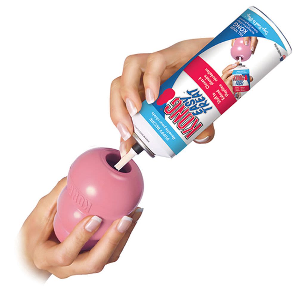 JUGUETE PERRO - KONG - PUPPY SMALL2