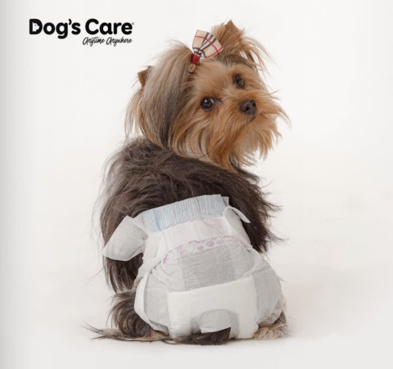 ASEO MASCOTAS - DOG´S CARE - PAÑAL DE CELO1