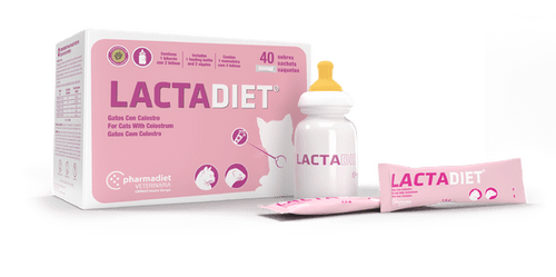 ALIMENTO LACTANCIA GATO - LACTADIET 1