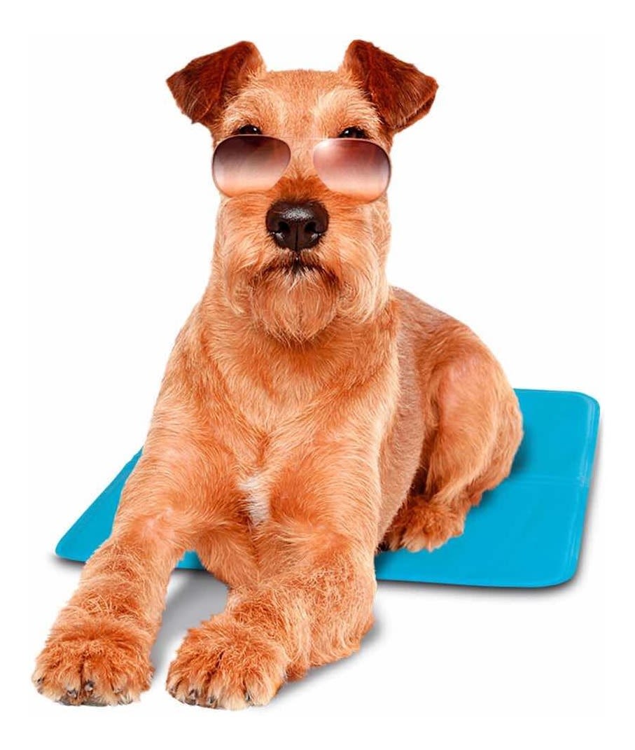 ACCESORIO PERRO - FERPLAST - MANTA REFRESCANTE2