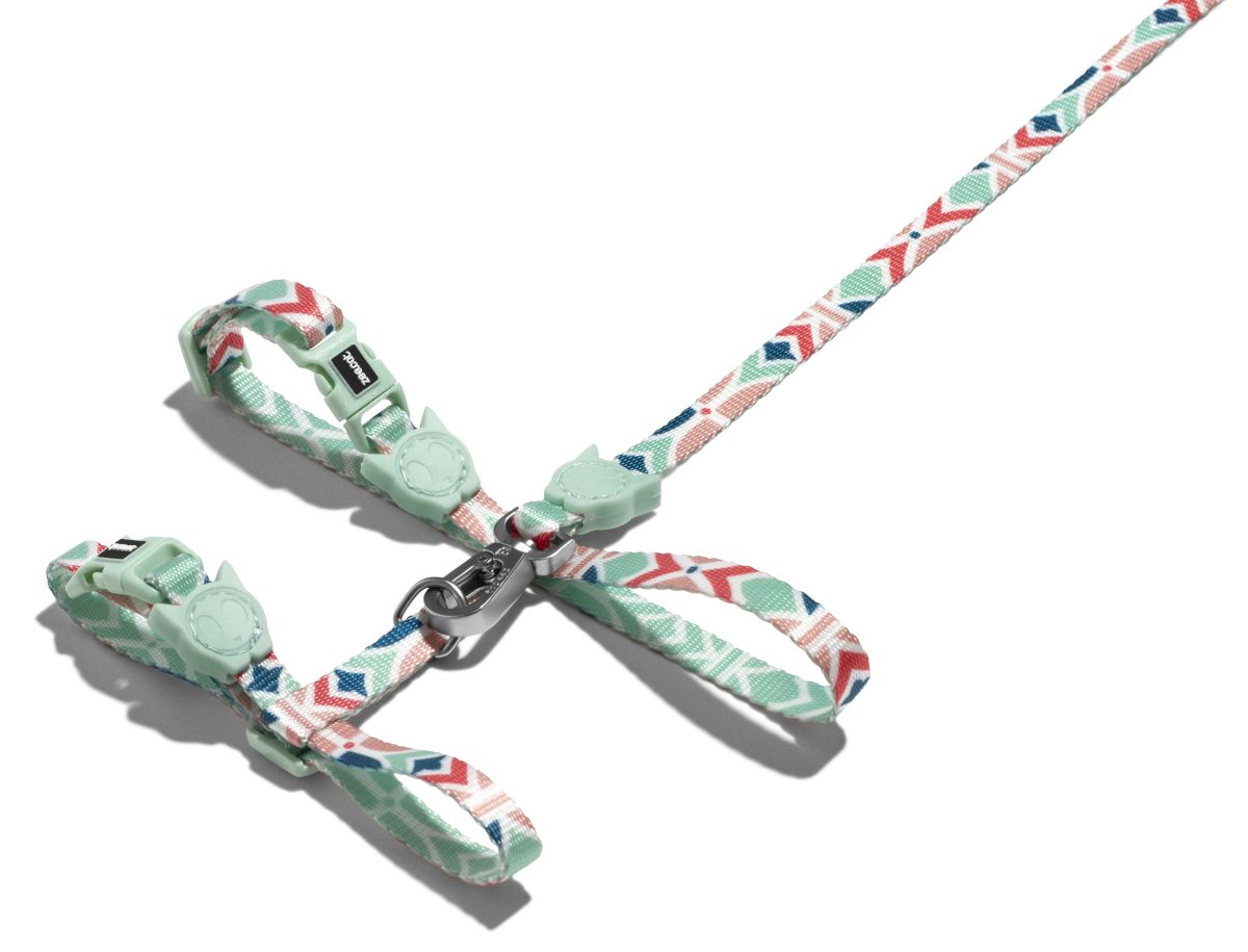 ARNES + CORREA GATO - ZEE CAT - MARCUCH3