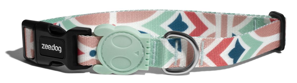 COLLLAR PERRO - ZEE DOG - MARCUCH 0
