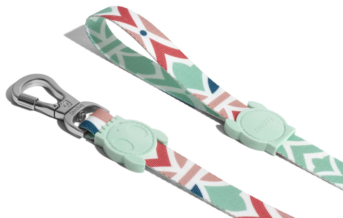 CORREA PERRO - ZEE DOG - MARCUCH2