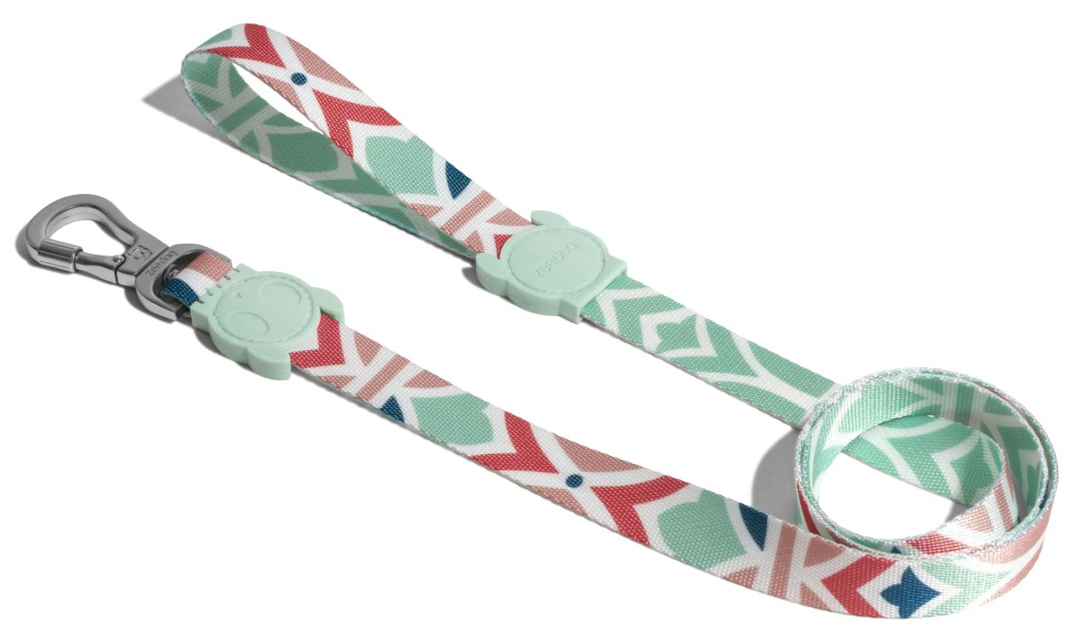 CORREA PERRO - ZEE DOG - MARCUCH3