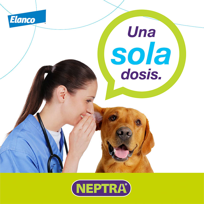 MEDICAMENTO PERRO - ELANCO - NEPTRA1