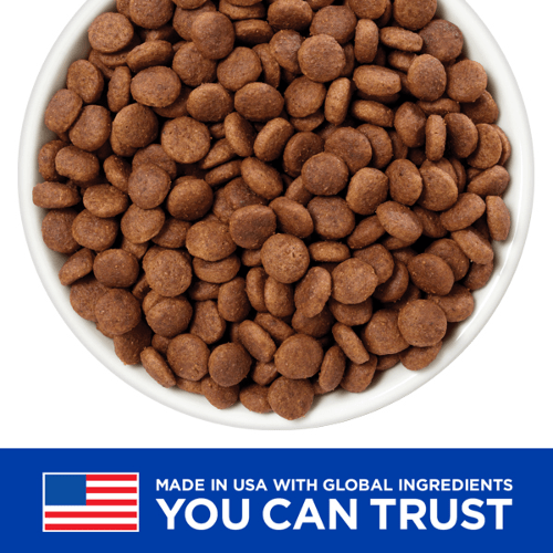 ALIMENTO PERRO - HILLS - GASTROINTESTINAL BIOME1