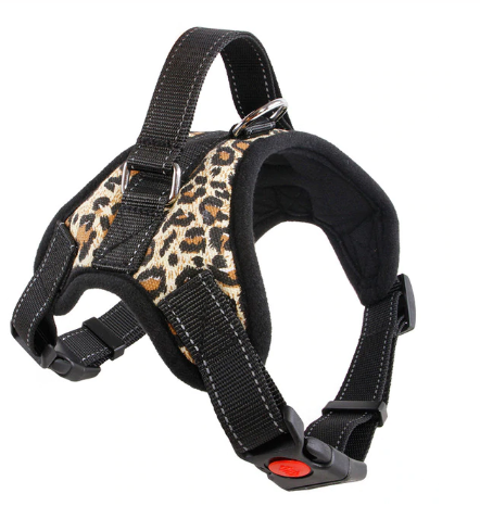 ARNES - PERRO - PECHERA CON CARGADOR - EXTRA LARGE6