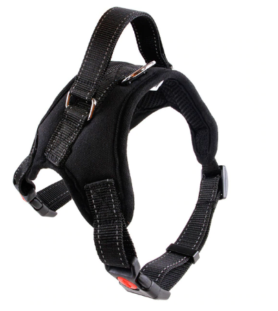 ARNES - PERRO - PECHERA CON CARGADOR - EXTRA LARGE5
