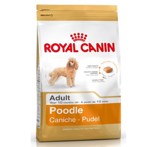 ALIMENTO PERRO - ROYAL CANIN - POODLE ADULTO1