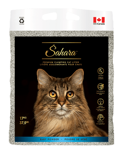 ARENA SANITARIA - SAHARA - BABY POWDER1