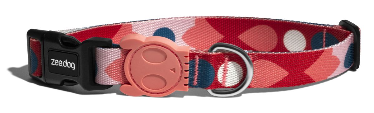 COLLAR PERRO - ZEE DOG - SAME 0