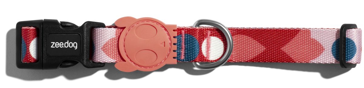 COLLAR PERRO - ZEE DOG - SAME2