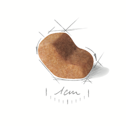 ALIMENTO PERRO - ROYAL CANIN - SHIH TZU ADULTO2