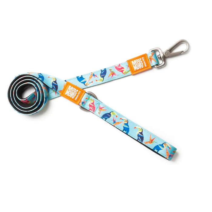 CORREA MASCOTA - MAX & MOLLY - PARADISE1