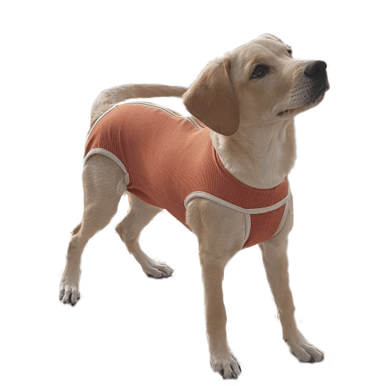 ROPA POSTQUIRURGICA PERROS Y GATOS - KIMBA PETS - BODY 0