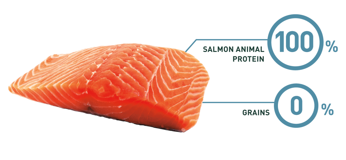 ALIMENTO PERRO - BRAVERY - ADULTO MEDIUM/LARGE BREEDS SALMON1