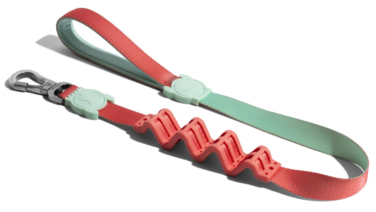 CORREA PERRO - ZEE DOG - RUFF LEASH ZAHARA2