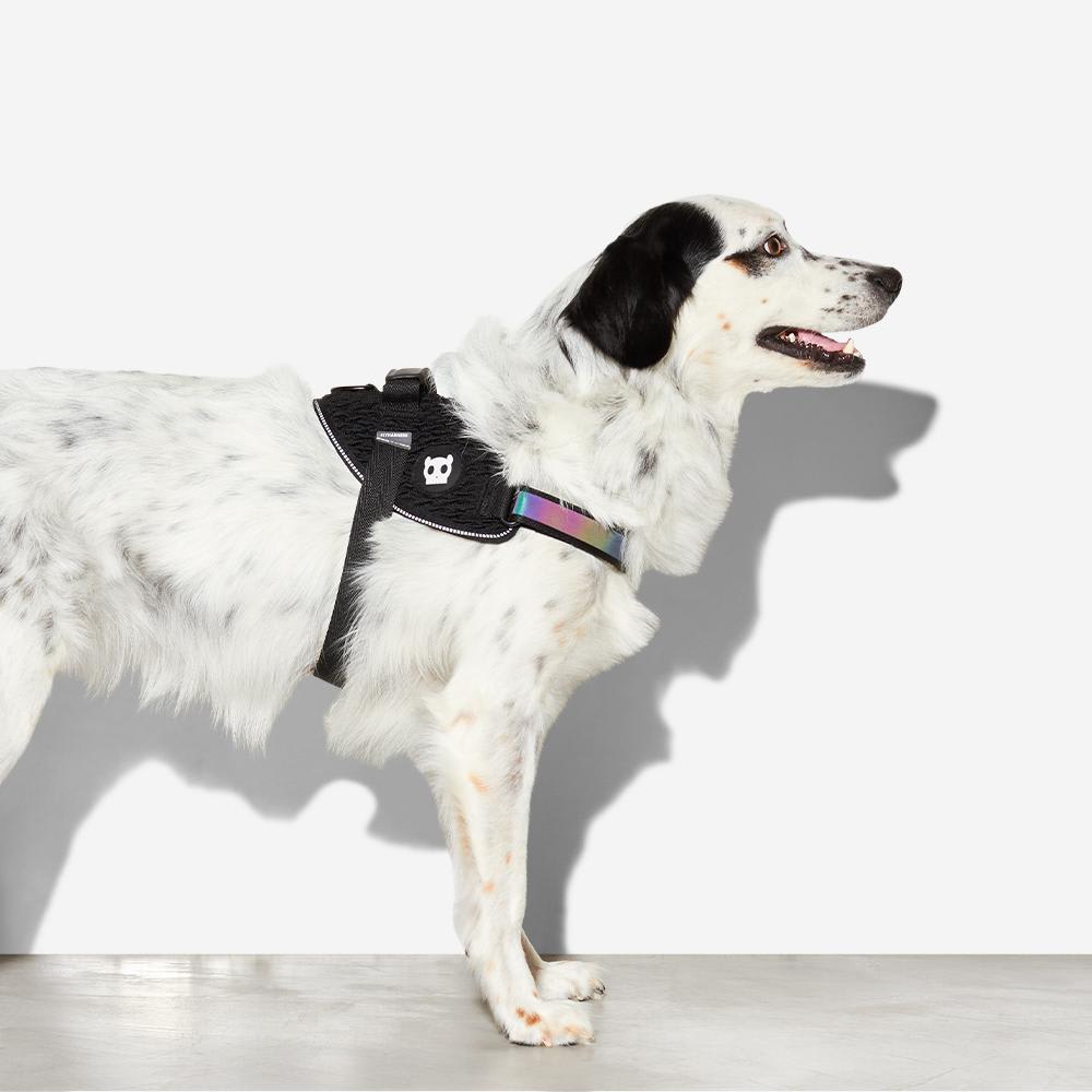 ARNÉS PERRO - ZEE DOG - GOTHAM FLY HARNESS2