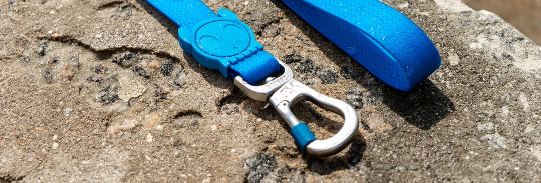 ACCESORIO PERRO - ZEE DOG - LEASH NEOPRO BLUE1