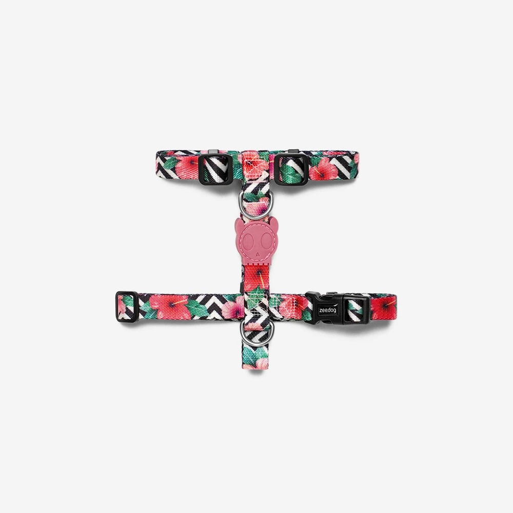 ARNÉS PERRO - ZEE DOG - H HARNESS MAHALO 1
