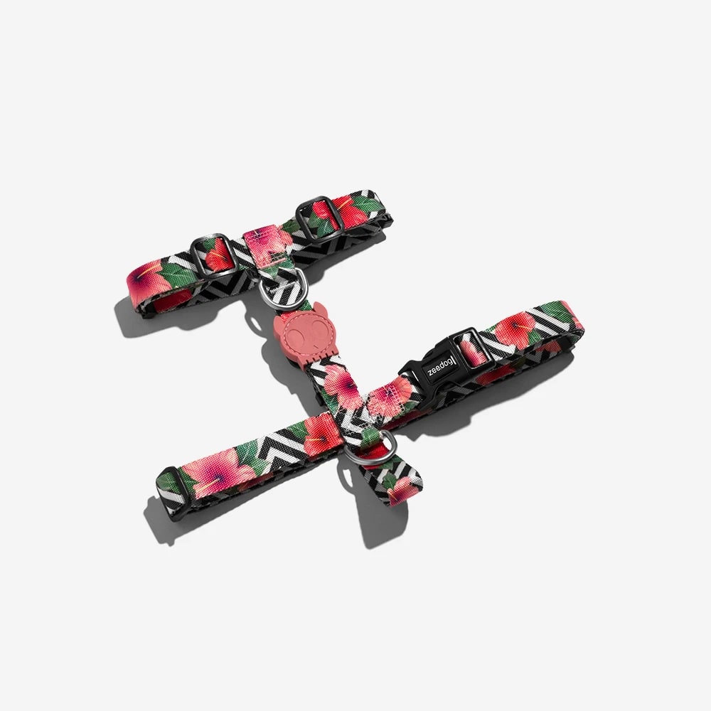 ARNÉS PERRO - ZEE DOG - H HARNESS MAHALO4
