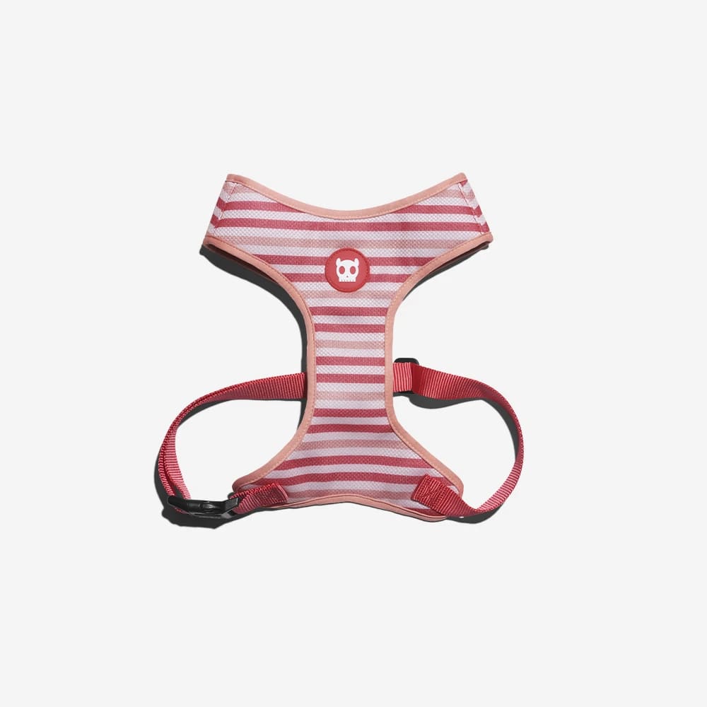 ARNES PERRO - ZEE DOG - PEPPERMINT AIR MESH HARNESS5