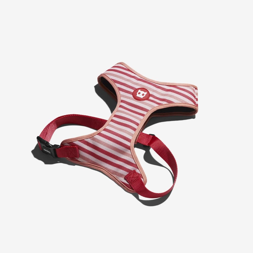 ARNES PERRO - ZEE DOG - PEPPERMINT AIR MESH HARNESS4