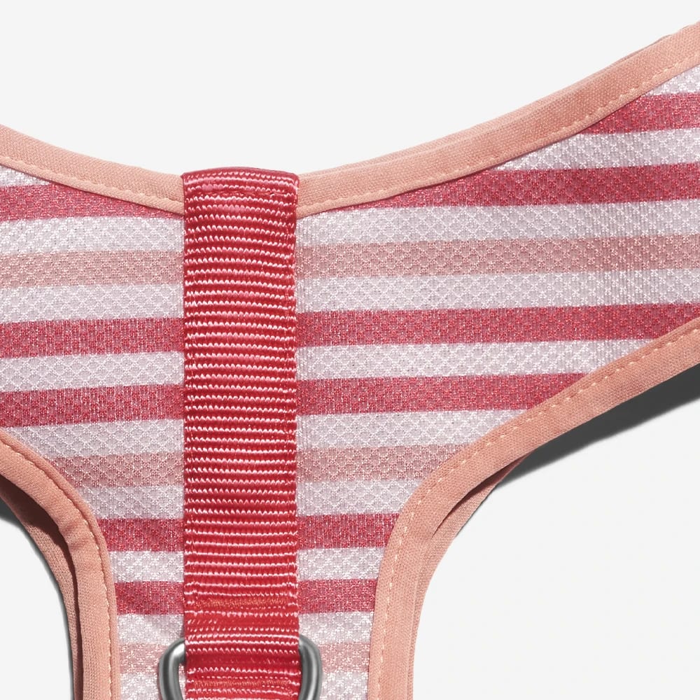 ARNES PERRO - ZEE DOG - PEPPERMINT AIR MESH HARNESS3