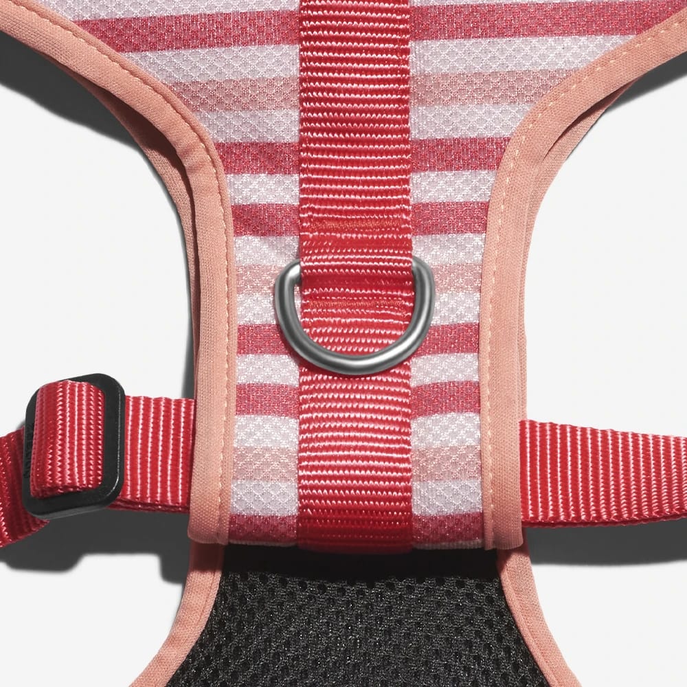 ARNES PERRO - ZEE DOG - PEPPERMINT AIR MESH HARNESS2