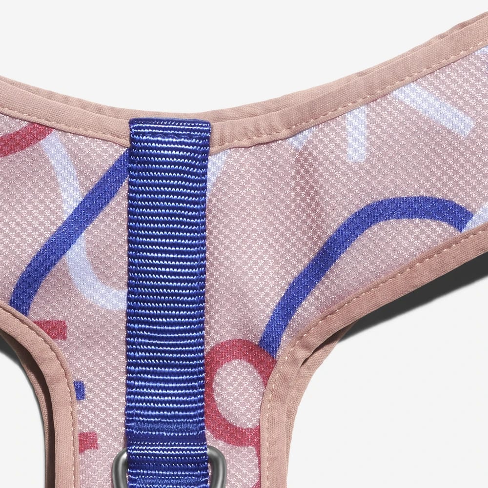 ARNES PERRO - ZEE DOG - PINNA AIR MESH HARNESS3