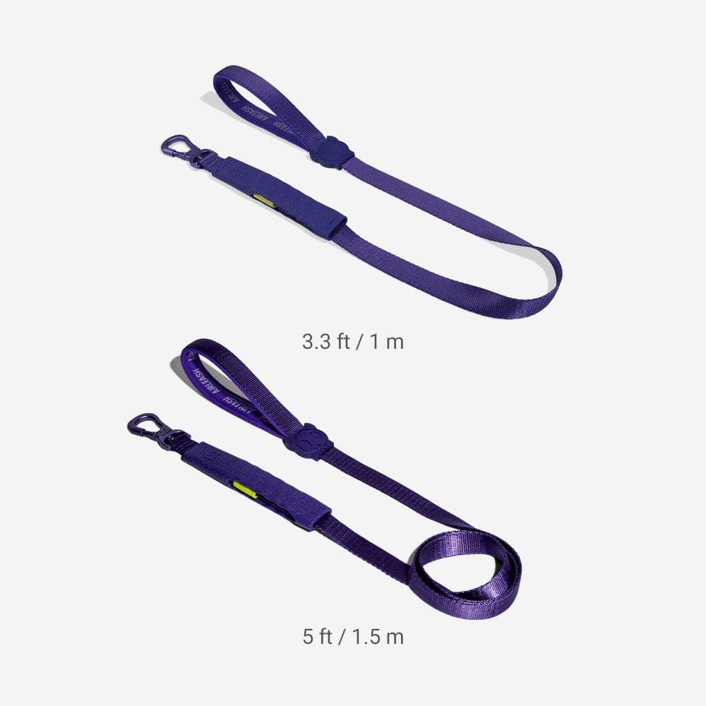 CORREA PERRO - ZEE DOG - AIR LEASH VIOLET2