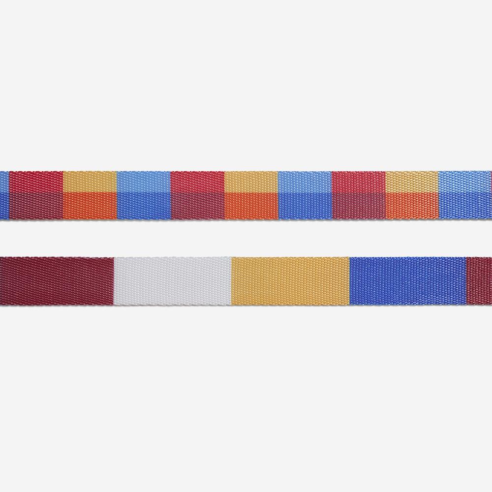 COLLAR GATO - ZEE CAT - PARKER3