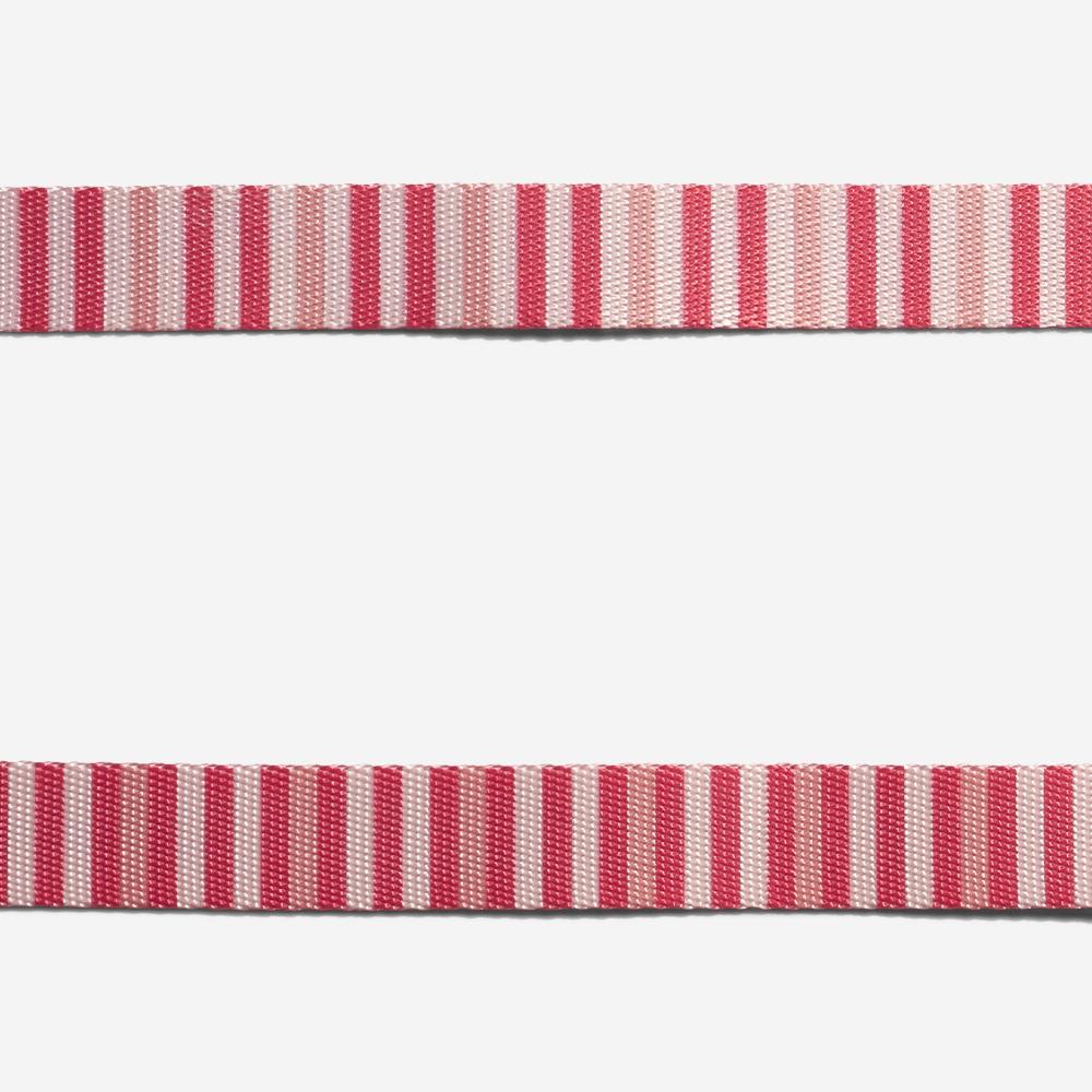 COLLAR GATO - ZEE CAT - PEPPERMINT1