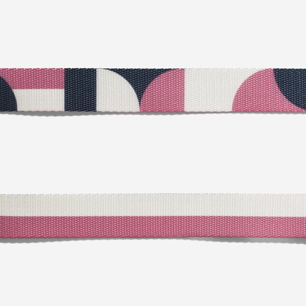 ACCESORIO GATO - ZEE CAT - SPLIT COLLAR3
