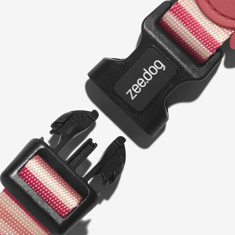 COLLAR PERRO - ZEE DOG - PEPPERMINT2