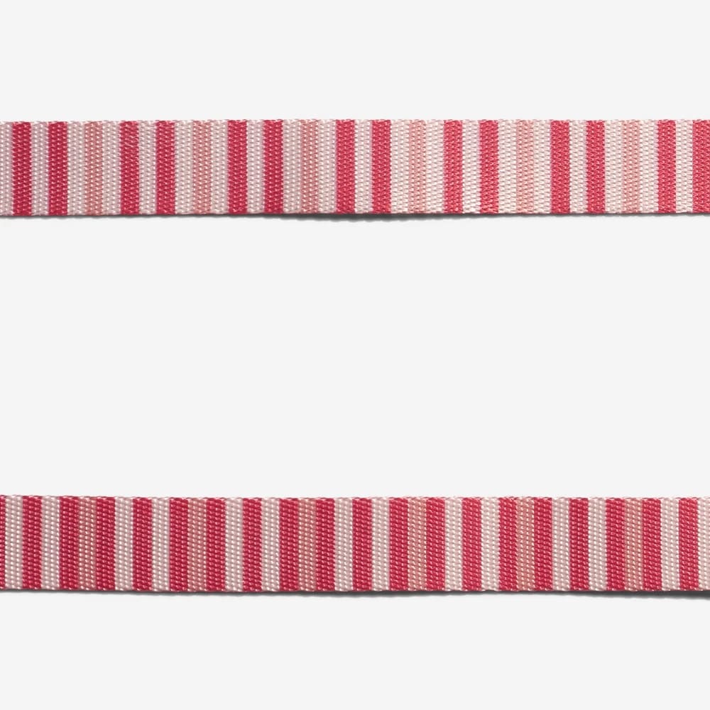 COLLAR PERRO - ZEE DOG - PEPPERMINT1